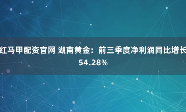 红马甲配资官网 湖南黄金：前三季度净利润同比增长54.28%