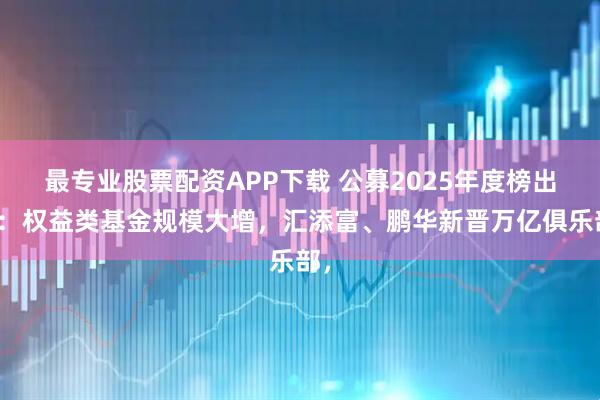 最专业股票配资APP下载 公募2025年度榜出炉：权益类基金规模大增，汇添富、鹏华新晋万亿俱乐部，